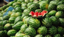 vv贴脸吃瓜,网络热梗背后的故事与影响