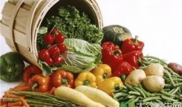 阿支天天吃瓜,揭秘瓜农的日常