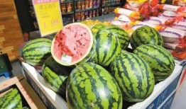 河南温县武陟吃瓜,瓜乡风情，品味夏日清凉