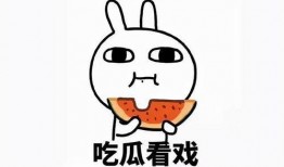 吃瓜的猹综艺,揭秘娱乐圈幕后故事