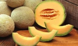 臻子和哈密瓜能一起吃吗,探究两者相容性之谜