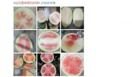 长沙吃瓜群众俱乐部,揭秘城市生活趣味圈