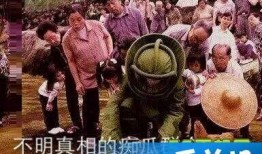 北美真吃瓜群众,揭秘娱乐圈背后的真相与八卦