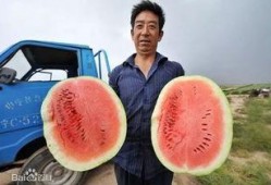 带你吃瓜中国李宁