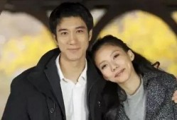 老王吃瓜影视,揭秘娱乐圈幕后故事