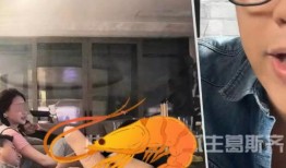 清清直播间吃瓜,揭秘娱乐圈吃瓜背后的真相