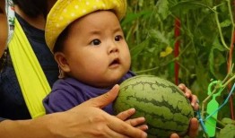 专门吃瓜群,网络社交新现象背后的故事