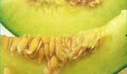 哈密瓜小孩吃咳嗽,美味营养两不误