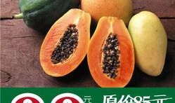 锡盟维多利吃瓜