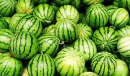 吃瓜方式视频,跟随视频领略吃瓜新风尚