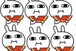 吃瓜sb,揭秘“吃瓜群众”背后的网络现象与心理分析