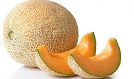 臻子和哈密瓜能一起吃吗,探究两者相容性之谜
