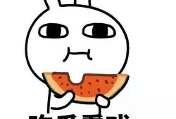 吃瓜小矮子知乎,知乎上的趣味人生