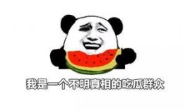 你不吃瓜谁吃瓜,不吃瓜谁吃瓜，揭秘网络热点背后的真相