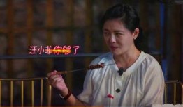 吃瓜偏爱汪小菲,豪门生活背后的真相