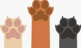 楼上吃瓜凑热闹,热闹非凡，揭秘邻里间的趣味生活