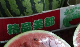 日常吃瓜网,吃瓜网带你领略明星幕后故事