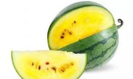 郑州吃瓜正商,揭秘城市生活新风尚