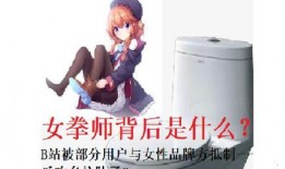 b站夫人吃瓜,背后真相与网络舆论风暴