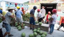 吃瓜助力骗局,揭秘网络诈骗新手段