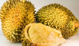 弟弟榴莲女孩吃瓜,揭秘甜蜜背后的故事