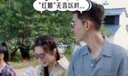 吃瓜看戏的主,吃瓜群众视角下的娱乐圈风云录