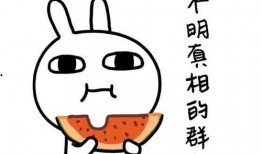 室友孤立吃瓜文案,揭秘校园人际关系的微妙变化