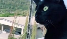 楼上吃瓜吵架,楼上吃瓜吵架事件始末