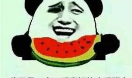 吃瓜群名字情侣搞笑,情侣吃瓜群名大揭秘，欢乐无限