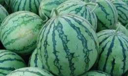 小傻吃瓜,揭秘娱乐圈那些不为人知的幕后故事