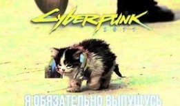 卷毛吃瓜视频,揭秘娱乐圈幕后故事