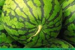 发烧可以吃瓜么,吃瓜真的可行吗？揭秘发烧饮食误区