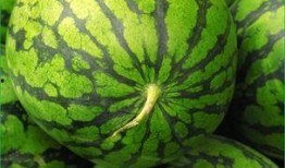 发烧可以吃瓜么,吃瓜真的可行吗？揭秘发烧饮食误区