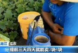 快穿嘎嘎吃瓜免费阅读,嘎嘎吃瓜，免费阅读之旅