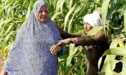 大妈玉米地吃瓜,意外发现隐藏的田园乐趣