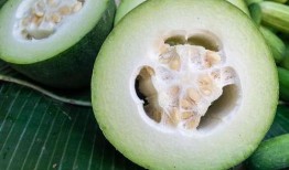 古茗吃瓜后续,揭秘网络热议背后的真相与反思