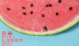 吃瓜影业,揭秘娱乐圈幕后风云