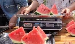 吃瓜恶心肚子,揭秘瓜类食物的神奇效应