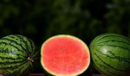 江西制造吃瓜,瓜果飘香，甜蜜事业蓬勃发展