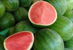 好想吃瓜免费吃瓜,免费畅享好想吃瓜的甜蜜诱惑