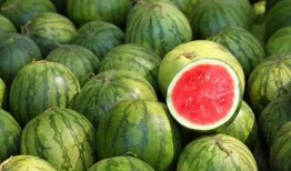 老外吃羊角瓜视频大全,老外挑战全球特色羊角瓜视频大盘点